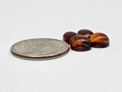 Red Amber Authentic Cabochon Pairs