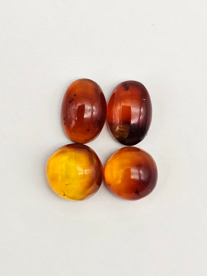 Red Amber Authentic Cabochon Pairs
