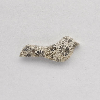 Fossilized Coral Bird Cabochon