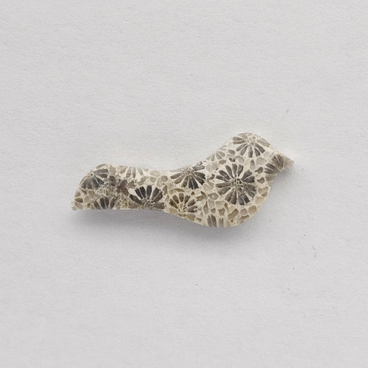 Fossilized Coral Bird Cabochon