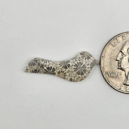 Fossilized Coral Bird Cabochon