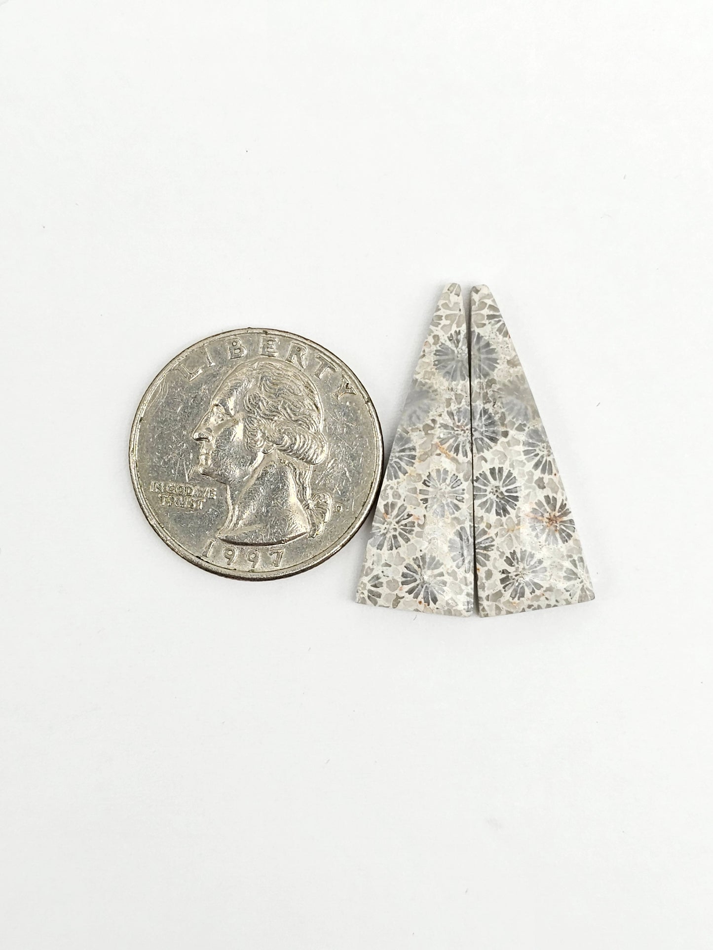 Fossilized Coral Agate Pair