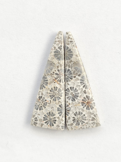 Fossilized Coral Agate Pair