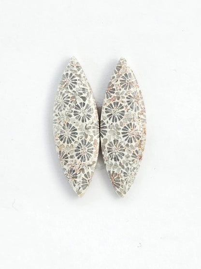 Fossilized Coral Agate Pair