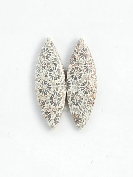 Fossilized Coral Agate Pair