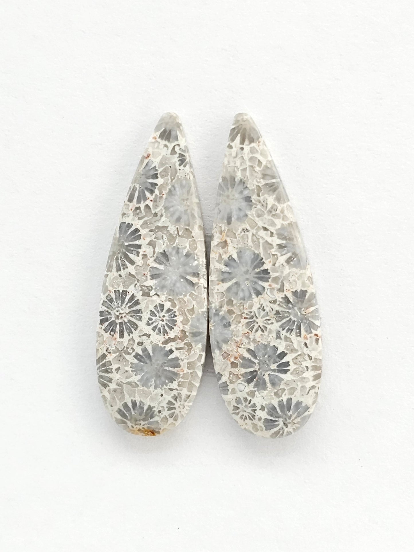 Fossilized Coral Agate Pair