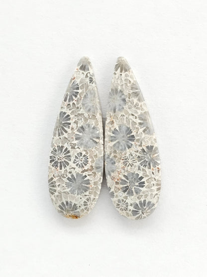 Fossilized Coral Agate Pair