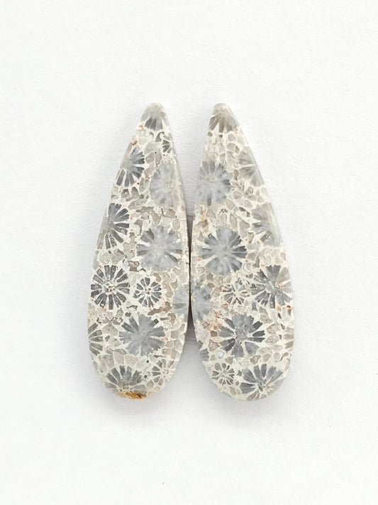 Fossilized Coral Agate Pair