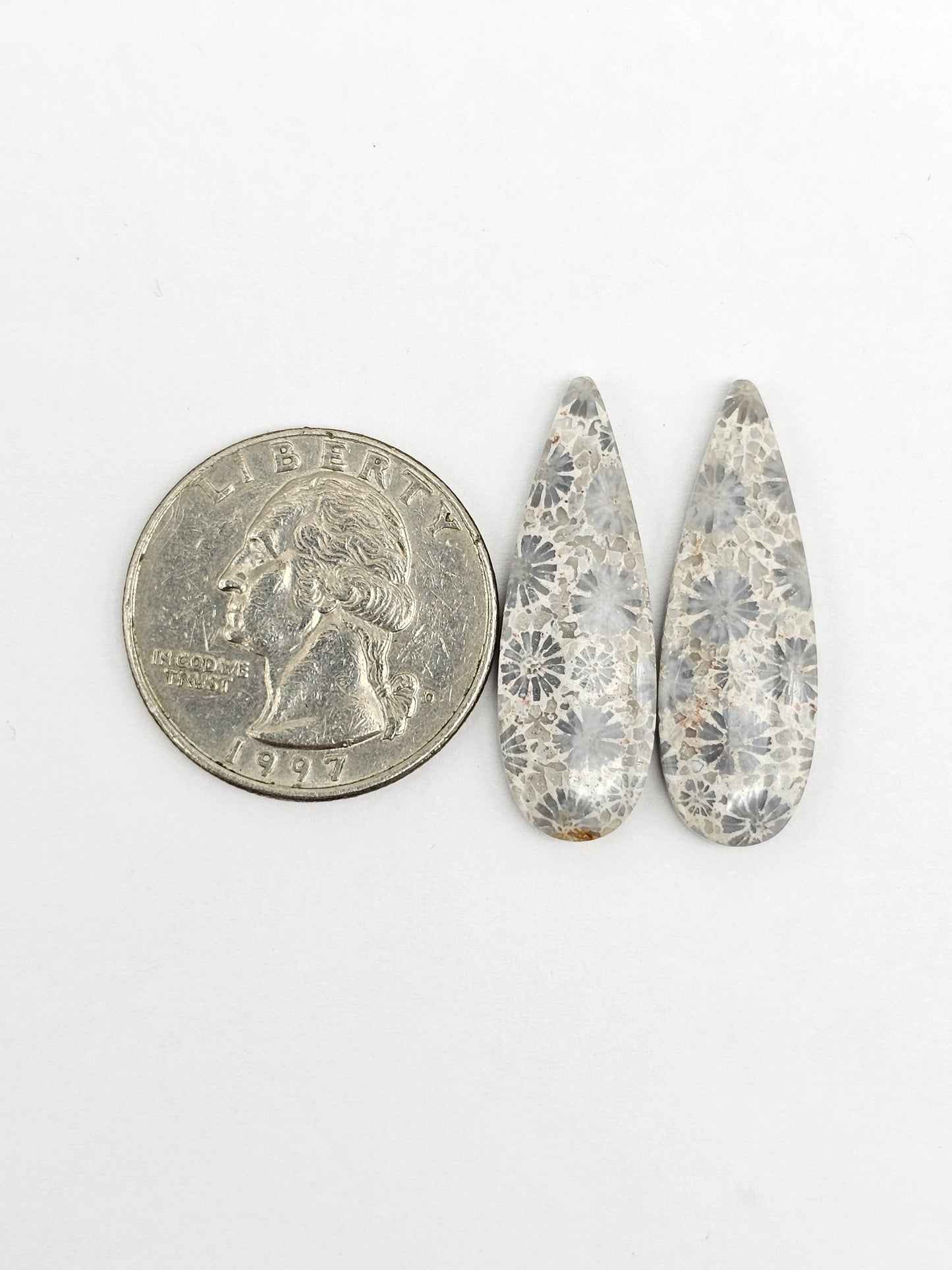 Fossilized Coral Agate Pair