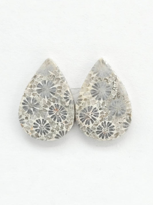 Fossilized Coral Agate Pair