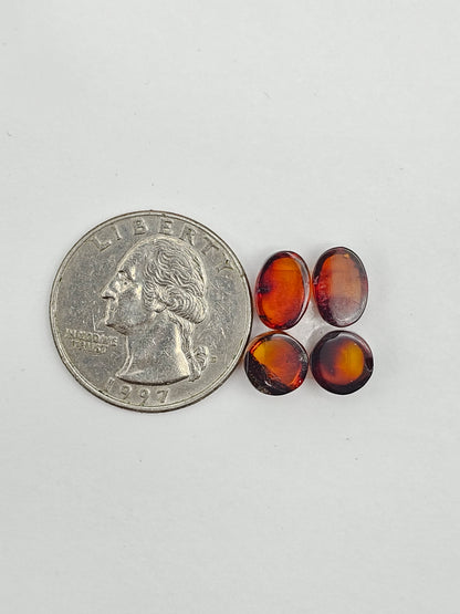 Red Amber Authentic Cabochon Pairs
