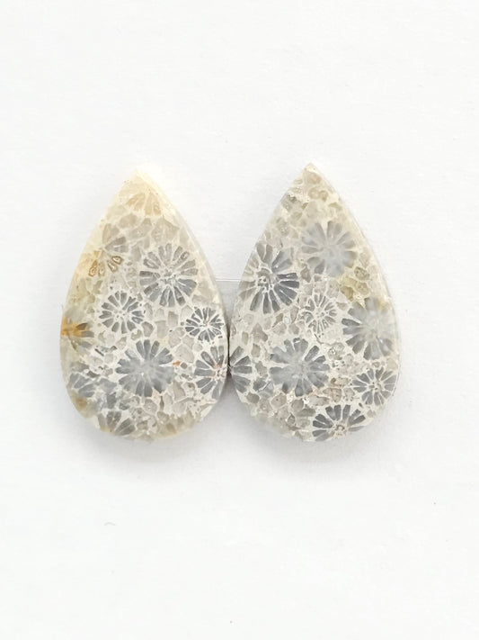 Fossilized Coral Agate Pair