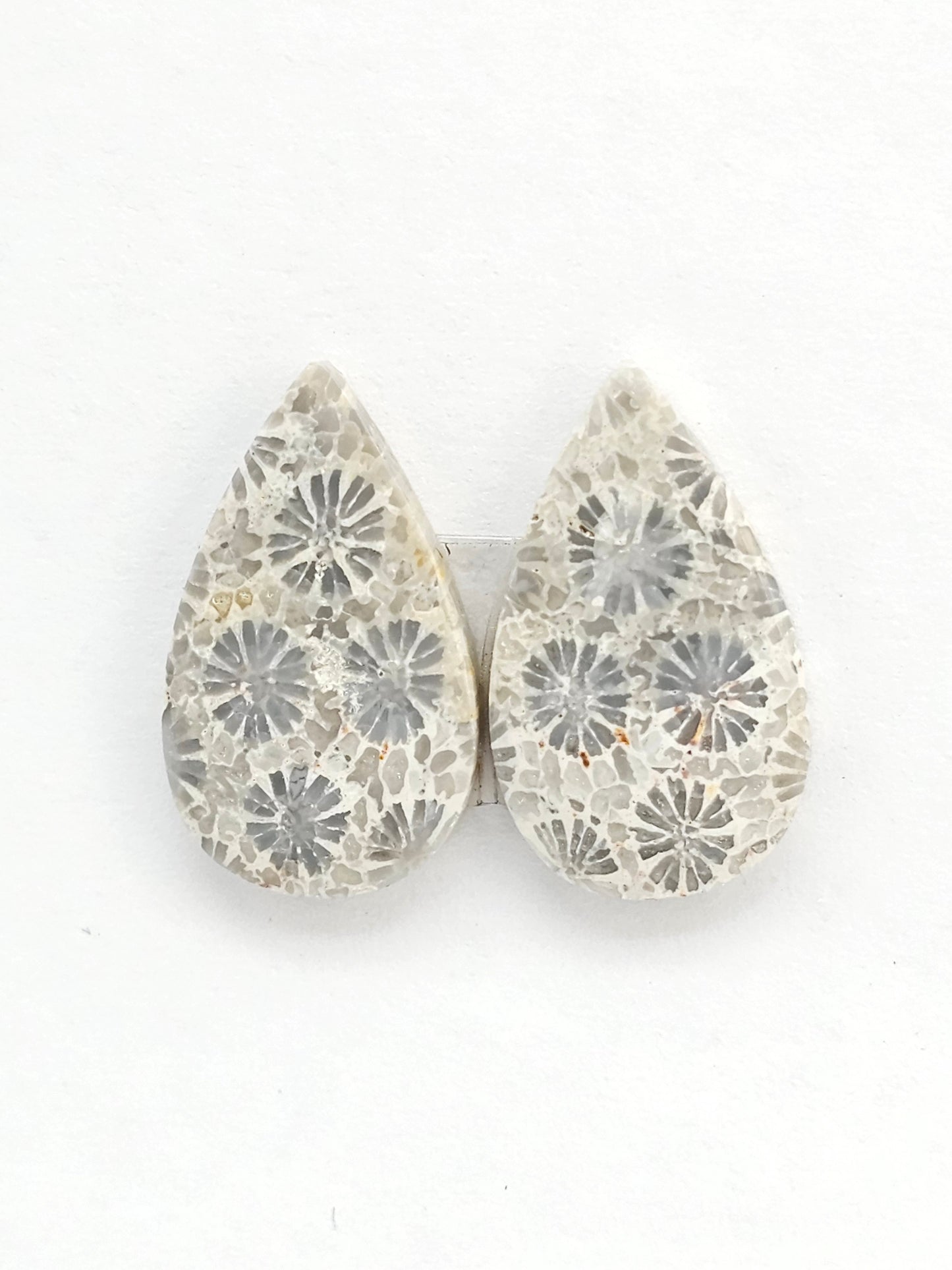 Fossilized Coral Agate Pair