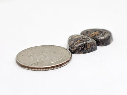 Rare Mexican Leopard Opal Cabochon Pair