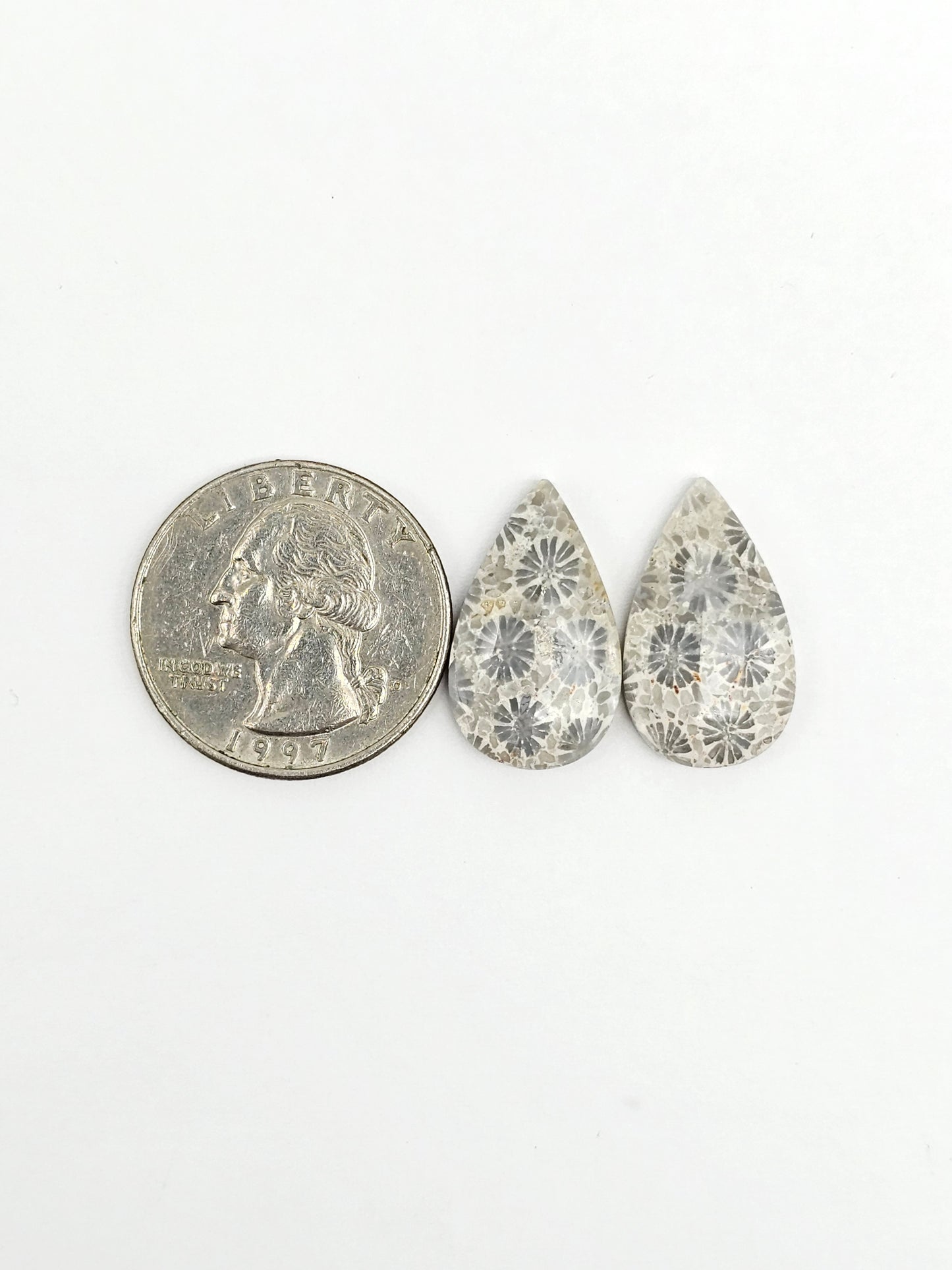 Fossilized Coral Agate Pair