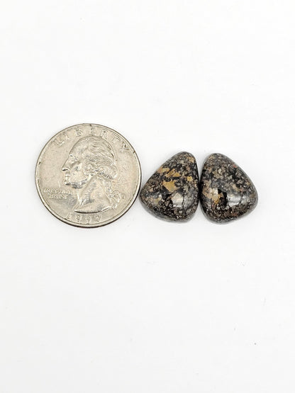 Rare Mexican Leopard Opal Cabochon Pair