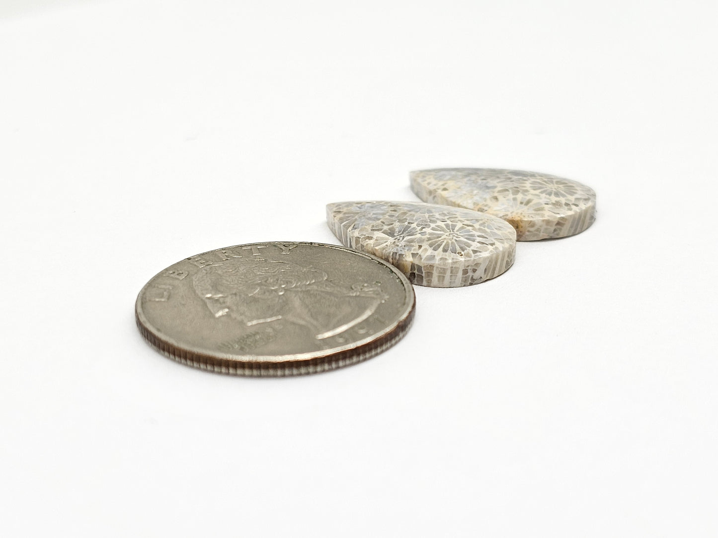 Fossilized Coral Agate Pair