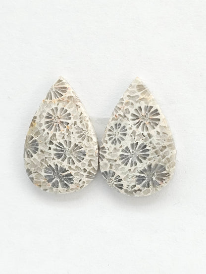Fossilized Coral Agate Pair