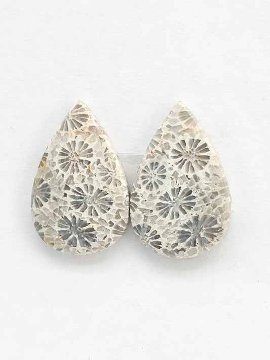 Fossilized Coral Agate Pair