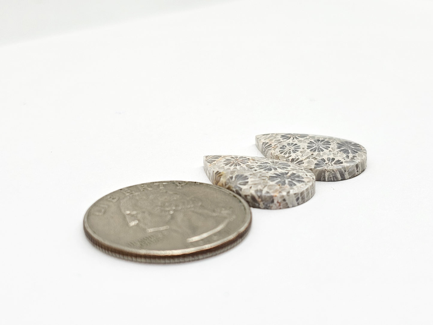 Fossilized Coral Agate Pair