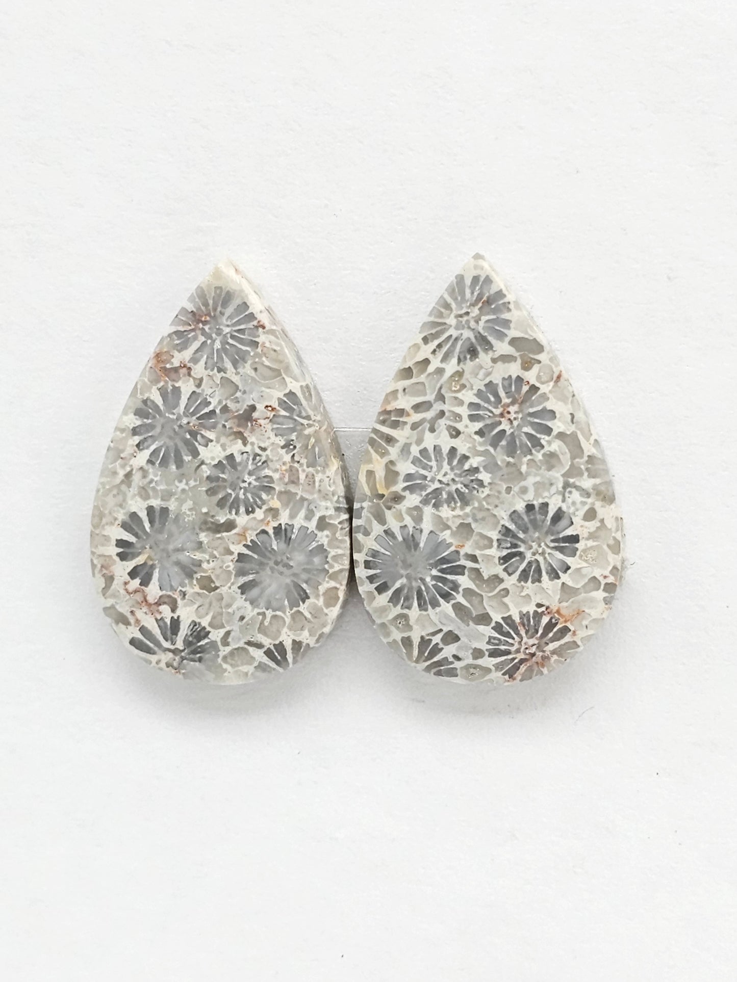 Fossilized Coral Agate Pair