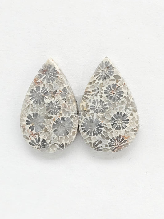 Fossilized Coral Agate Pair
