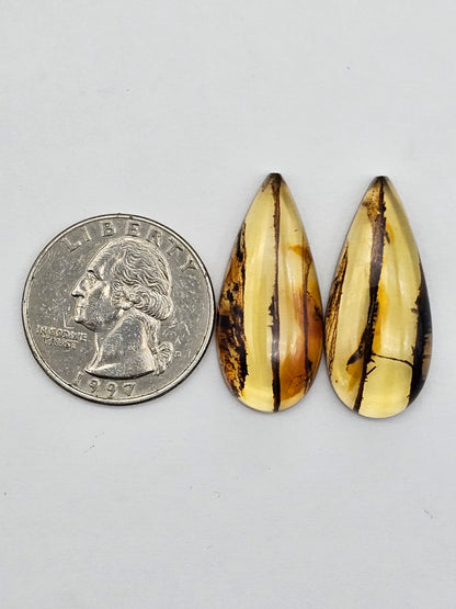 Amber authentic cabochon pair large