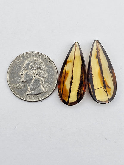 Amber authentic cabochon pair large