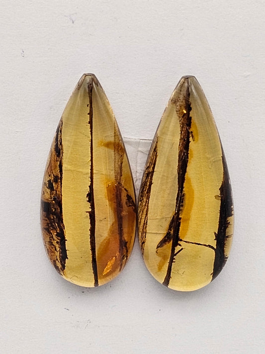 Amber authentic cabochon pair large