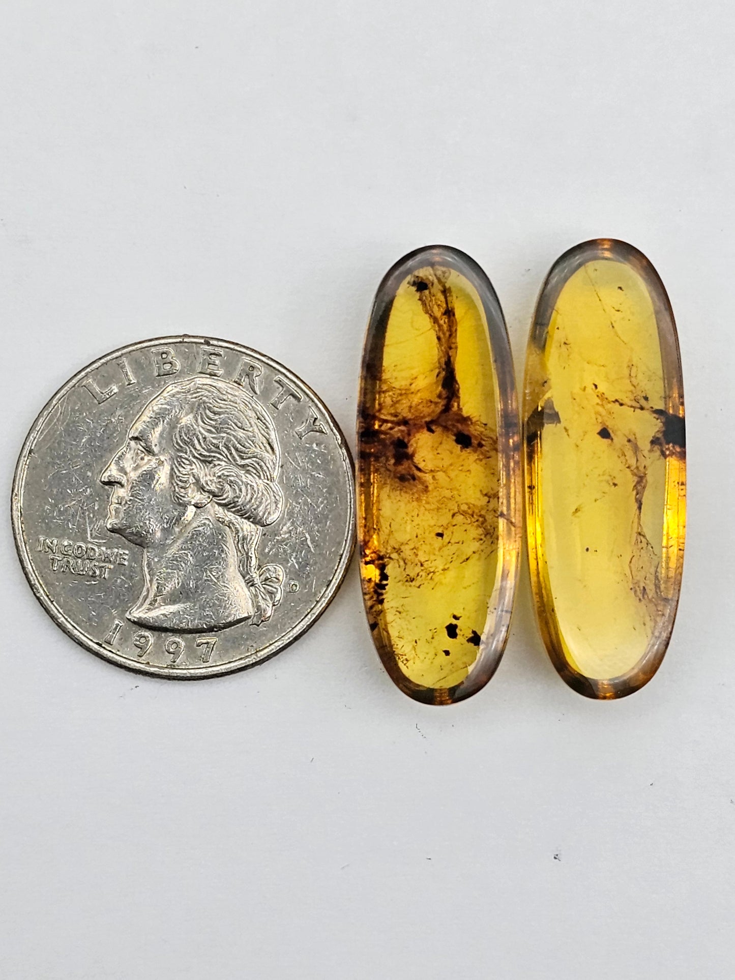 Amber authentic cabochon pair large