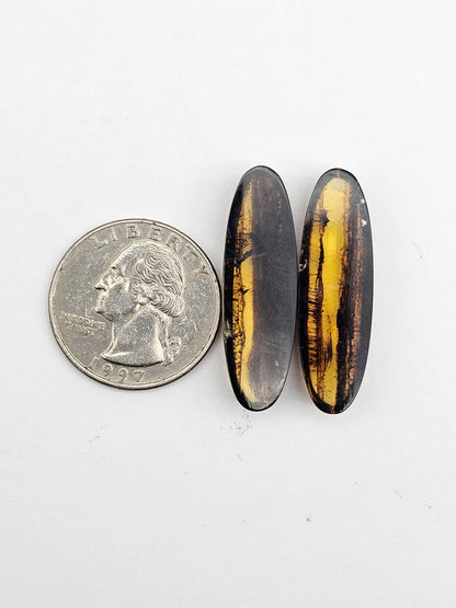 Amber authentic cabochon pair large
