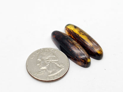Amber authentic cabochon pair large