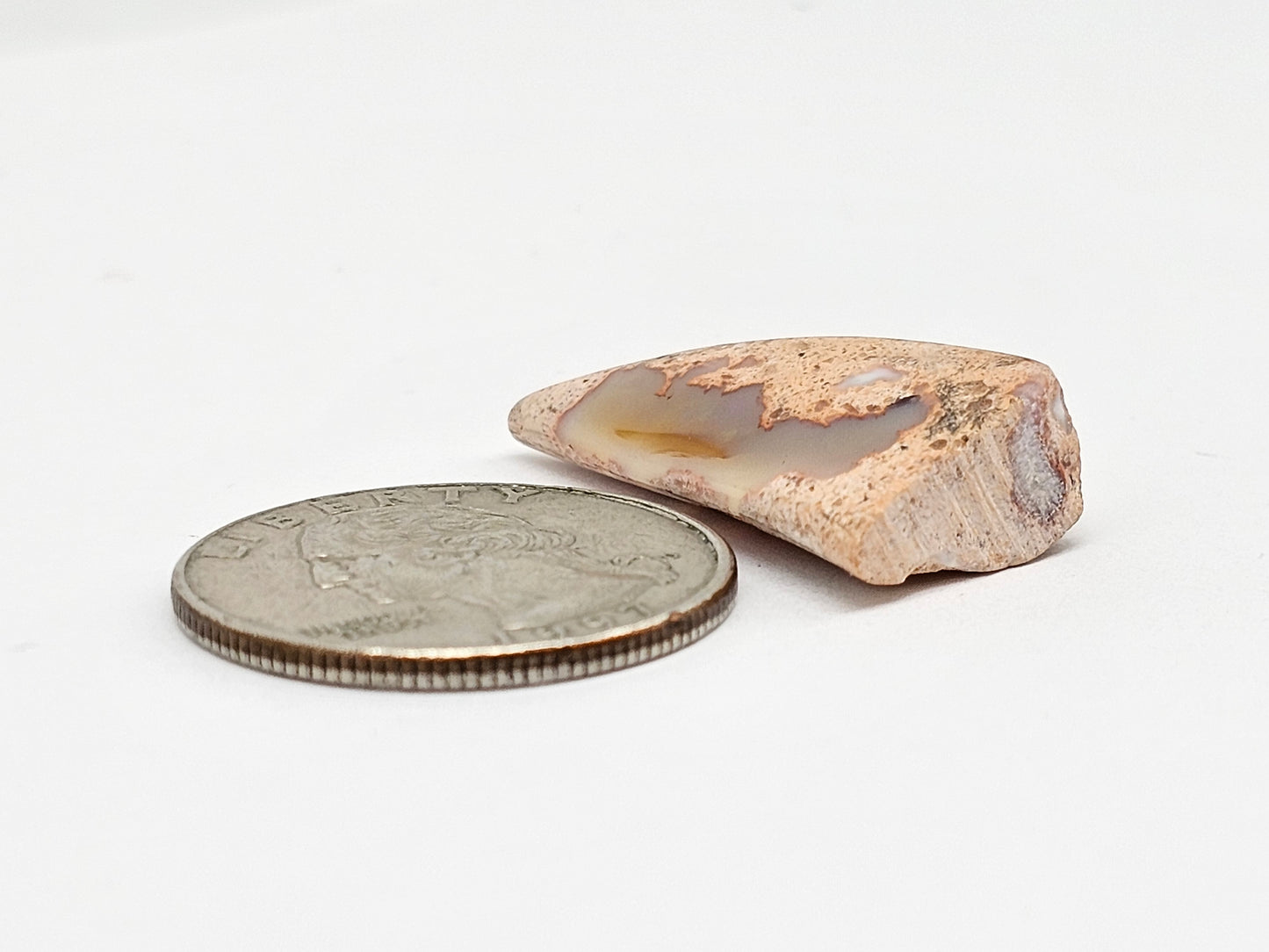 Mexican Cantera Opal Fang Cabochon