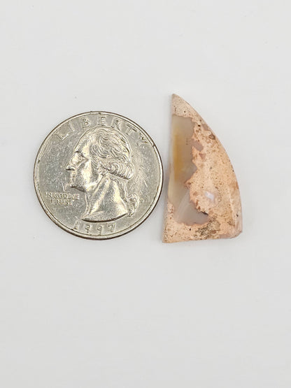 Mexican Cantera Opal Fang Cabochon