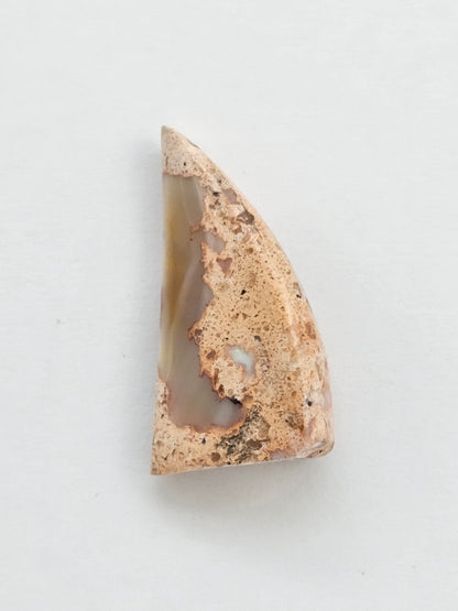 Mexican Cantera Opal Fang Cabochon