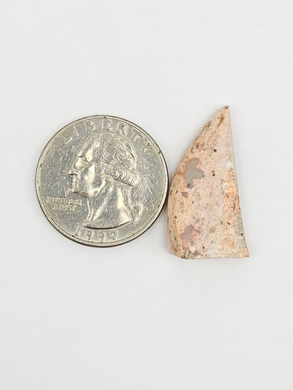 Mexican Cantera Opal Fang Cabochon