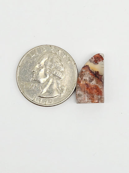 Mexican Cantera Opal Fang Cabochon
