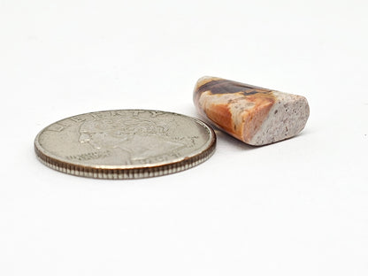 Mexican Cantera Opal Fang Cabochon