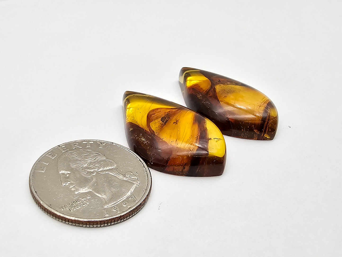 Amber authentic cabochon pair large