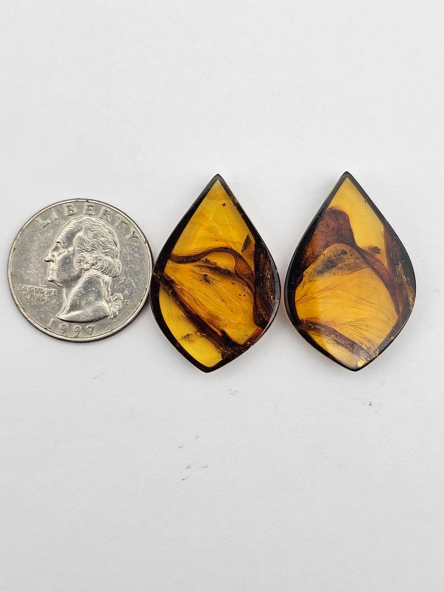Amber authentic cabochon pair large