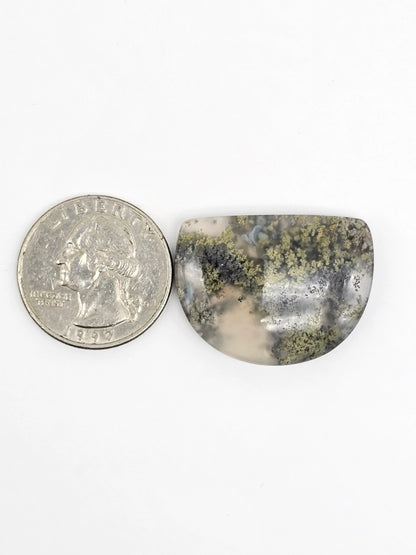 Moss agate cabochon