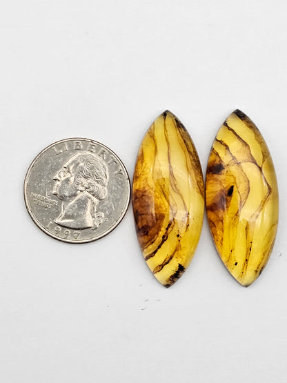 Amber authentic cabochon pair large