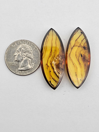 Amber authentic cabochon pair large