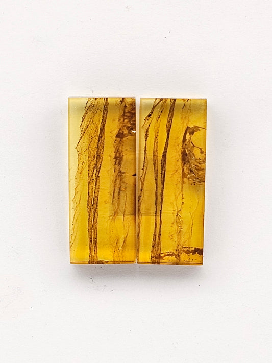 Amber authentic cabochon pair large