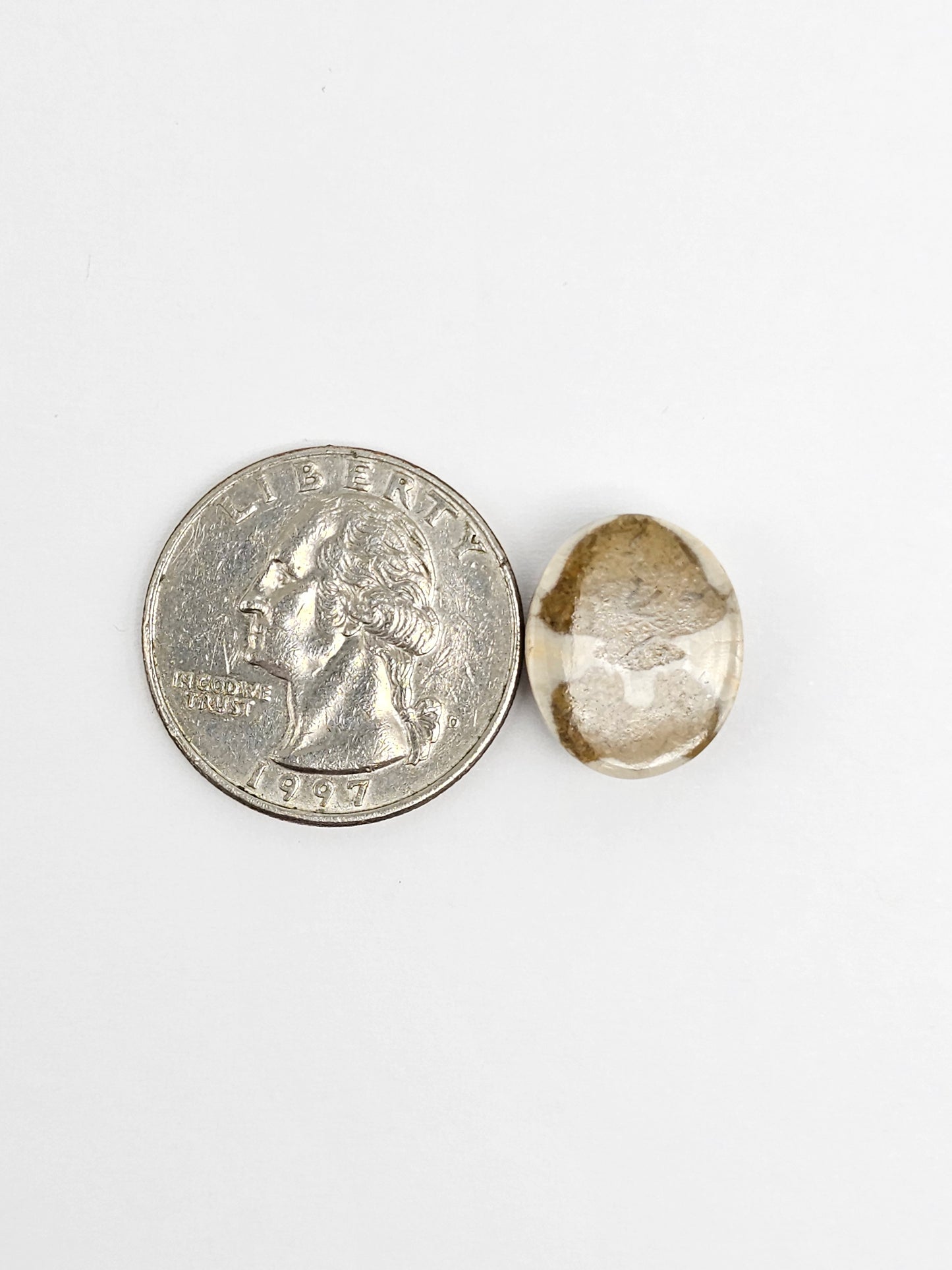 Sea Urchin (Sand Dollar) Fossil Cabochon – Rare Mexican Echinoid, Hand Polished