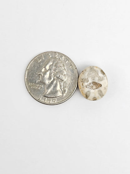 Sea Urchin (Sand Dollar) Fossil Cabochon – Rare Mexican Echinoid, Hand Polished