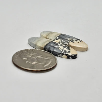 Maligano Jasper cabochon pair