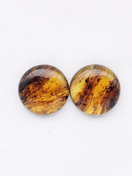 Amber authentic cabochon pair large