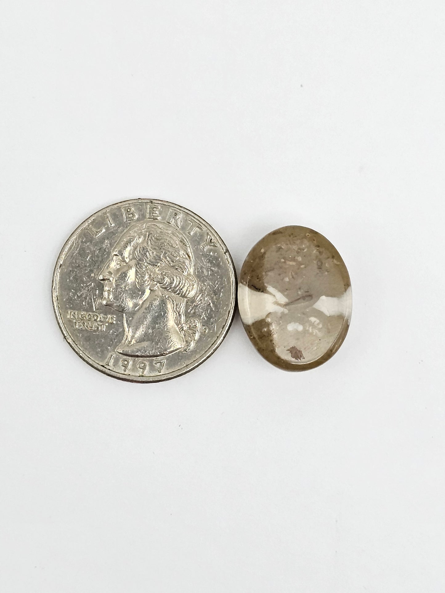 Sea Urchin (Sand Dollar) Fossil Cabochon – Mexican Echinoid