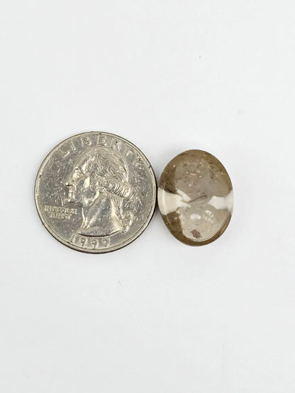 Sea Urchin (Sand Dollar) Fossil Cabochon – Mexican Echinoid